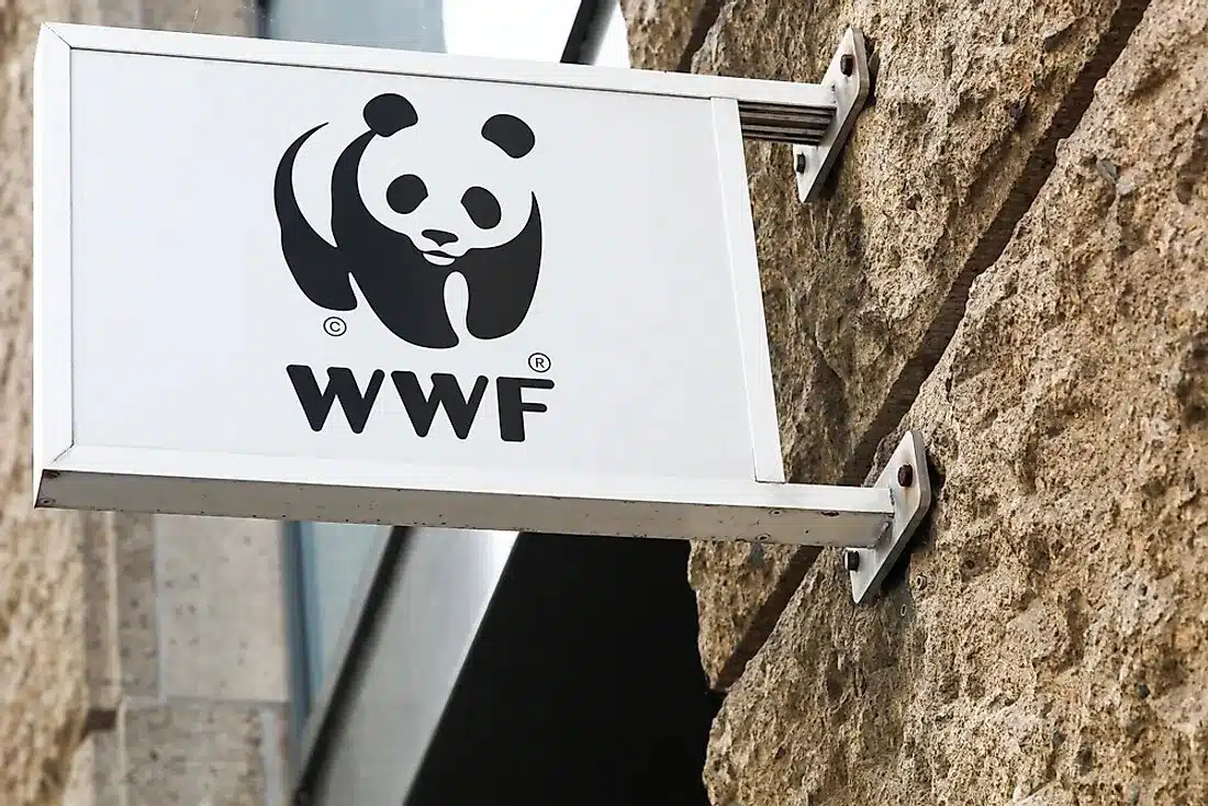 WWF